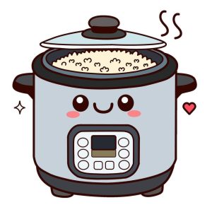 Electric Cooker & Induction Stove