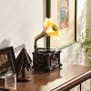 record player, gramophone, phonograph turntable, vintage speaker, wireless music system, USB record player, FM radio speaker, home audio decor, nichomdecor, nicdecor.com