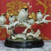 White and brown polyresin birds statue, for showpiece, dust with dry cloth 3