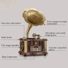 record player, gramophone, phonograph turntable, vintage speaker, wireless music system, USB record player, FM radio speaker, home audio decor, nichomdecor, nicdecor.com
