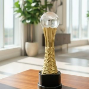 Custom Name & Crystal Stone World Golden Body Trophy Award1
