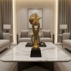 Customized star trophy awards decorative ornament4
